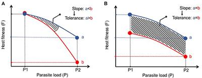 Host–Parasite Interactions Promote Disease Tolerance to Intestinal Helminth Infection